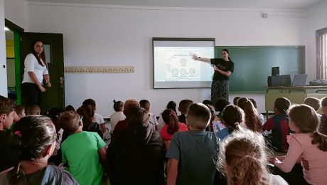colegio tarajano3