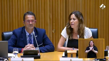 congreso diputados feder (3)