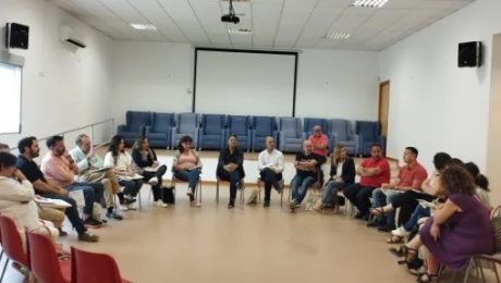 feder jornada dismo