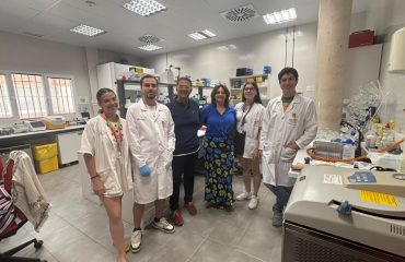 ip laboratorio (1)