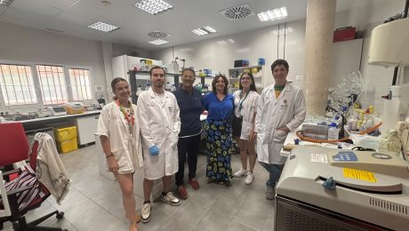 ip laboratorio (1)