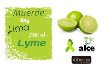 lyme lima