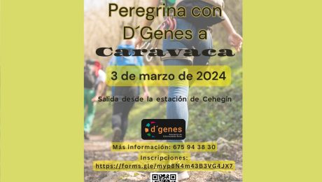 peregrinación caravaca portada