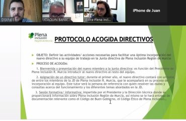 plena inclusion reunión